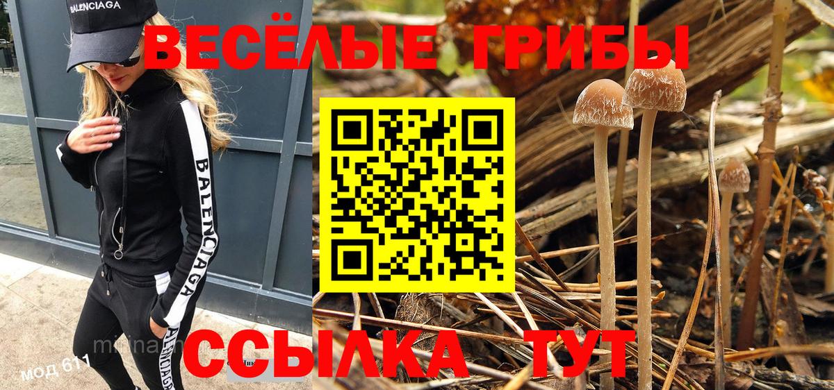 Белебей  Галлюциногенные грибы Magic Shrooms  Вход с VPN  Псилоцибиновые грибы Psilocybine cubensis 