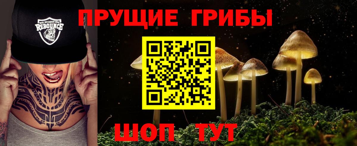 Псилоцибиновые грибы Cubensis Белебей